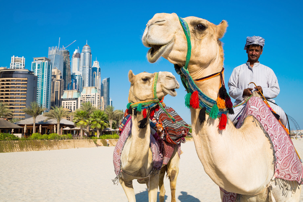 Tour Dubai - Abu Dhabi - Thành phố sang trọng trong sa mạc - Bay hãng hàng không 5 sao Emirates