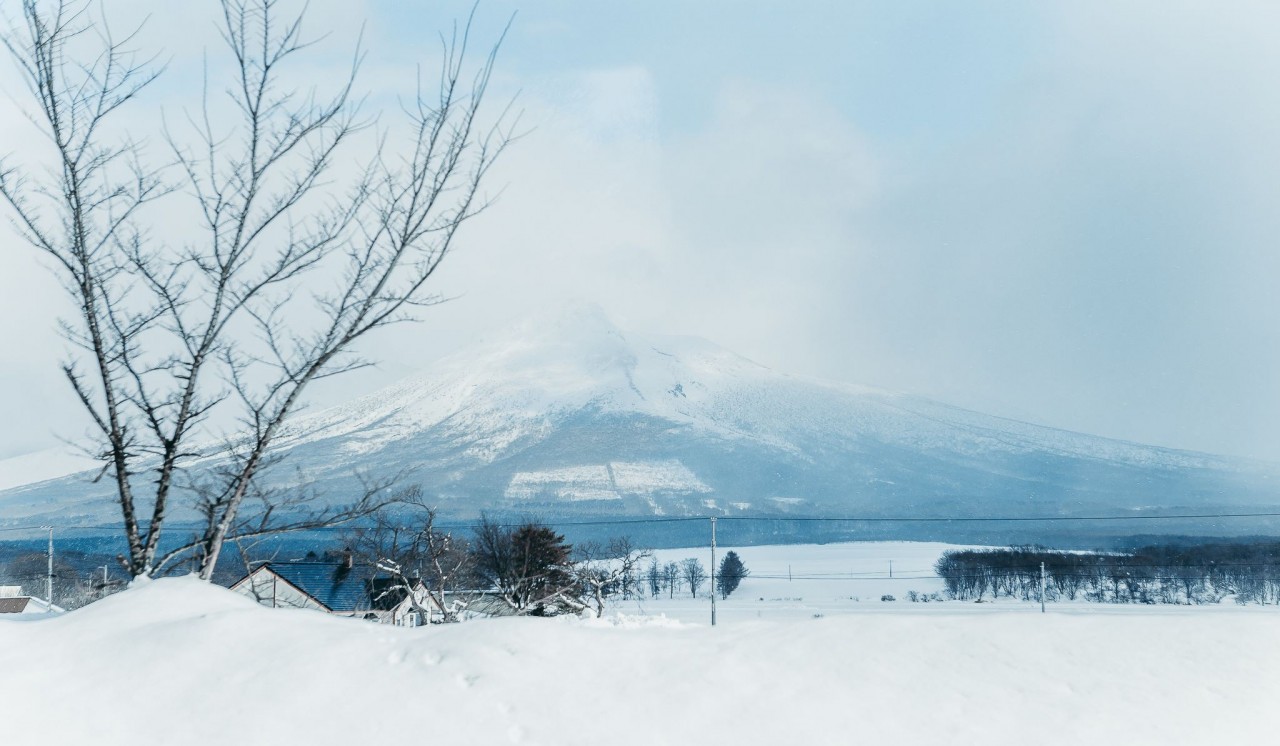 Nagoya, Nara, Hokkaido – Mở rộng trải nghiệm