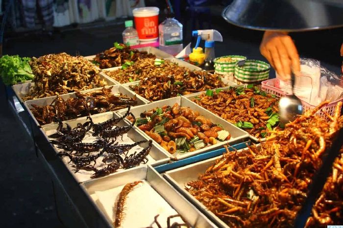 Ẩm thực đa dạng