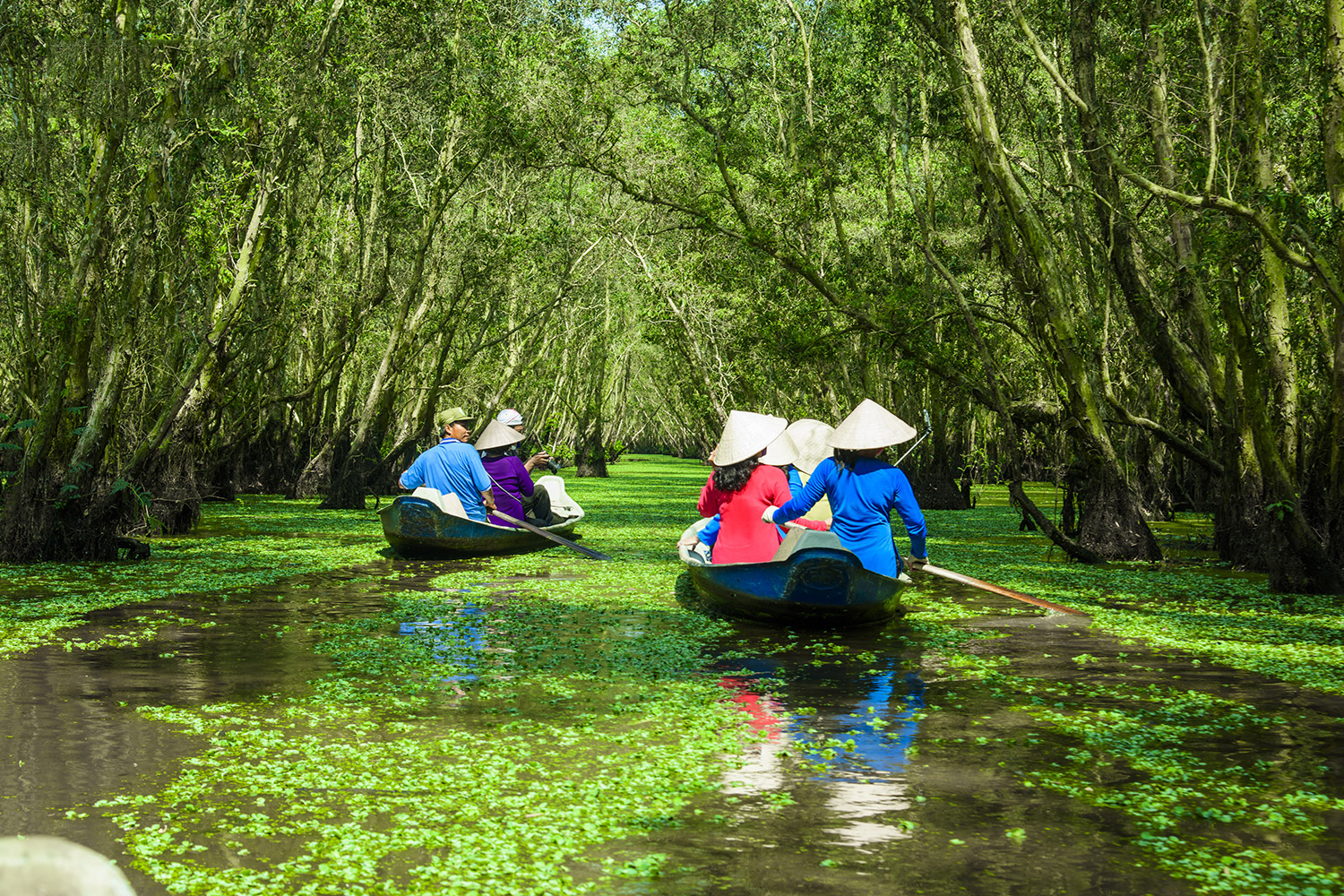 Tour Bến Tre Cần Thơ 2 ngày 1 đêm