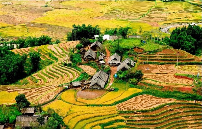 Thung lũng Mường Hoa